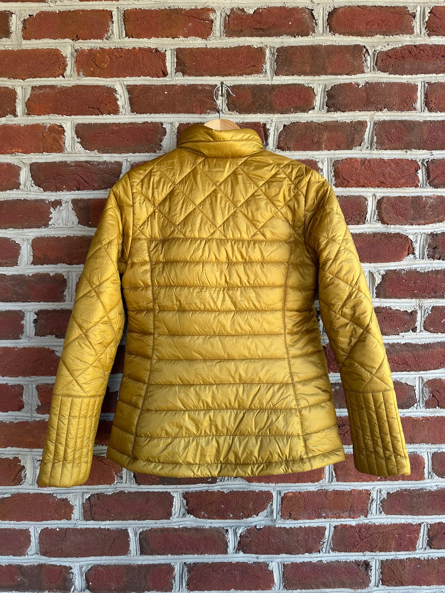 Patagonia Puffy Jacket